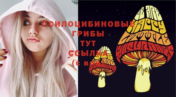 амфетамин Ладушкин
