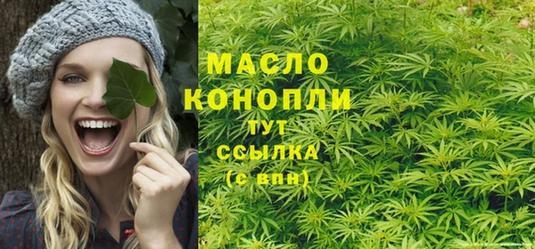 дживик Лагань