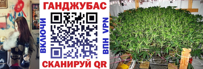 Марихуана сатива  Медвежьегорск 
